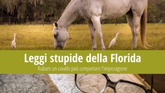 Leggi stupide della Florida: Multa salata per furto di cavallo