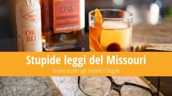 Stupide leggi del Missouri: Gli elefanti non possono bere alcool