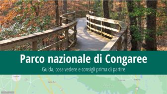 Parco nazionale di Congaree – cosa vedere, guida e foto