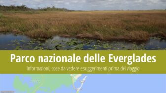 Parco nazionale delle Everglades – cosa vedere, guida e foto